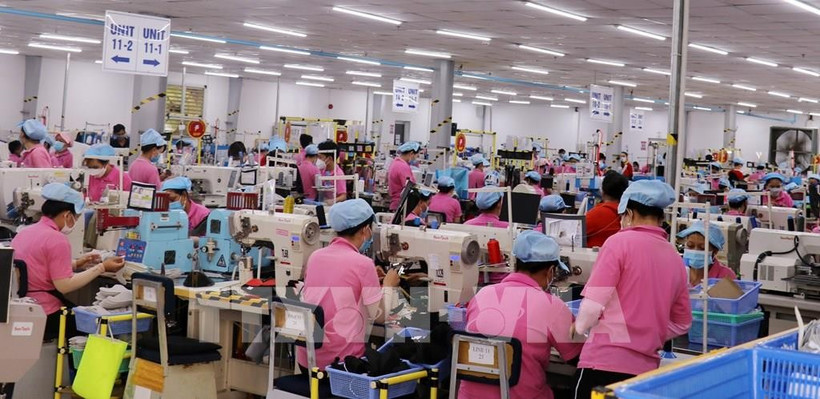 Footwear production for export at the Vinh Hoa Hung Nam Industrial Cluster, An Giang province (Photo: VNA)