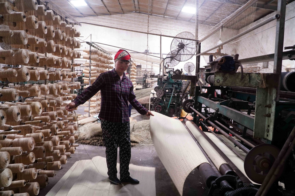 The traditional rush mat weaving has endured over generations and is still being preserved. (Photo: VNA)