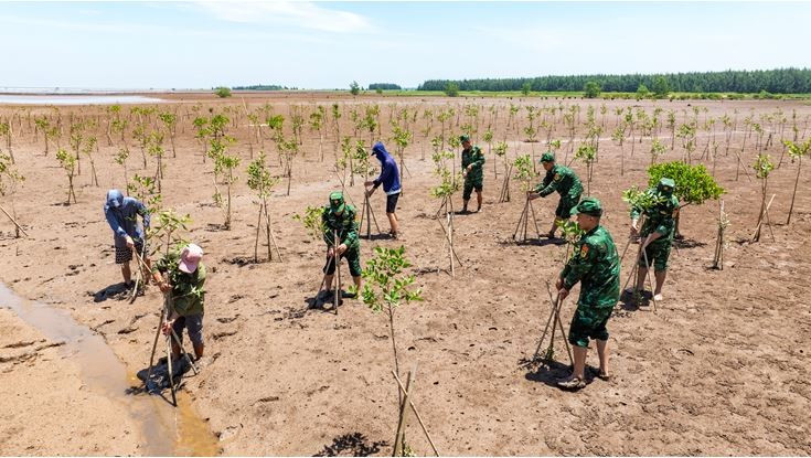 Vietnam has consistently implemented proactive solutions to respond to climate change. (Photo: Nguyen Xuan Truong)