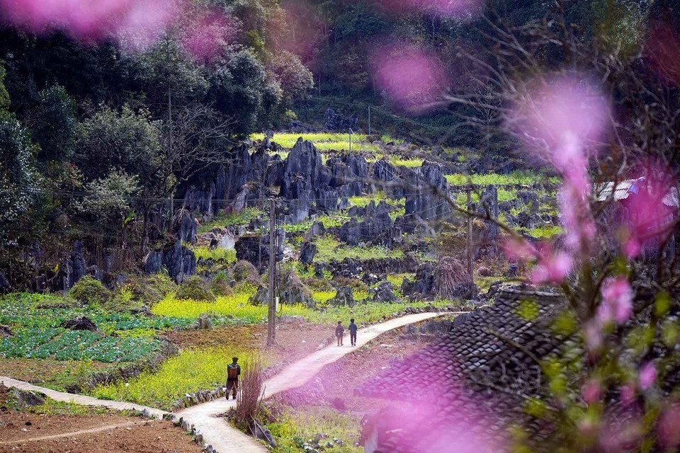 Scenic views of Dong Van Karst Plateau. (Photo: VNA)