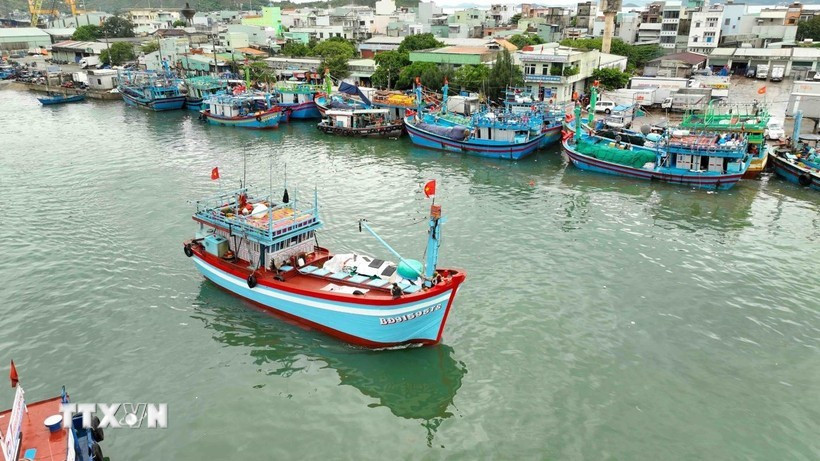 Across the Mekong Delta, provinces are intensifying interprovincial coordination and information-sharing on vessels identified as high-risk for violating fishing regulations. (Illustrative image: VNA)