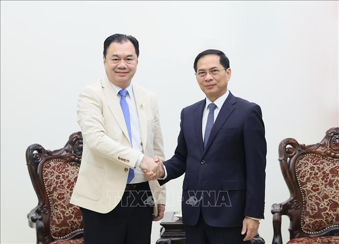 Deputy Prime Minister Bui Thanh Son receives Kounlaphanh Vongnathy, Vice President of Phongsupthavy Group, in Hanoi on December 12, 2025. (Photo: VNA)