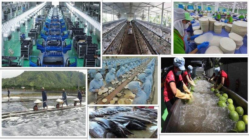 The private economic sector is the most important momentum of the national economy. (Photo: VNA)