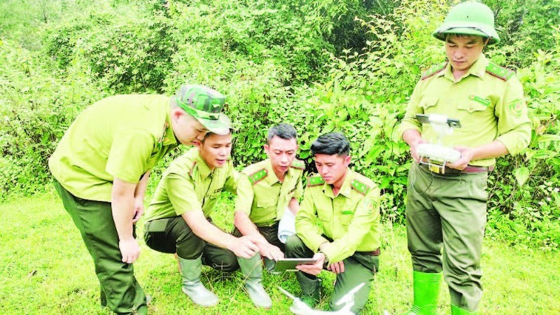 Forest rangers in Son La province apply technological devices and software to forest management, monitoring, and protection. (Photo: nhandan.vn)