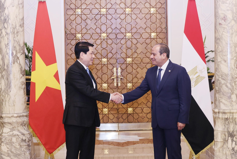 State President Luong Cuong (L) and Egyptian President Abdel Fattah El‑Sisi in Cairo on August 5. (Photo: VNA)